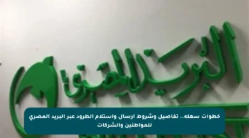 خطوات سهلة.. تفاصيل وشروط إرسال واستلام الطرود عبر البريد المصري للمواطنين والشركات